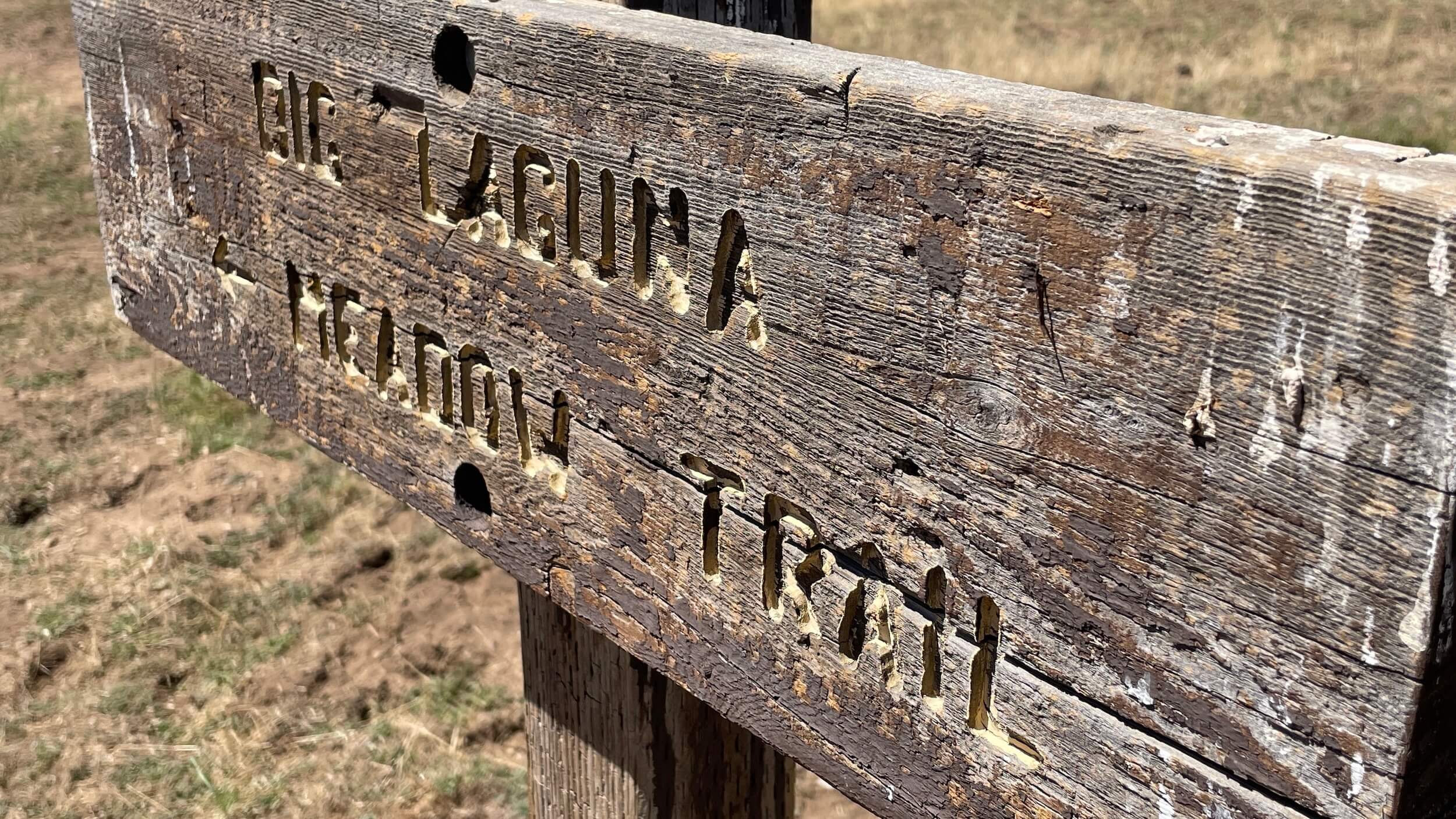 Mt. Laguna Meadow