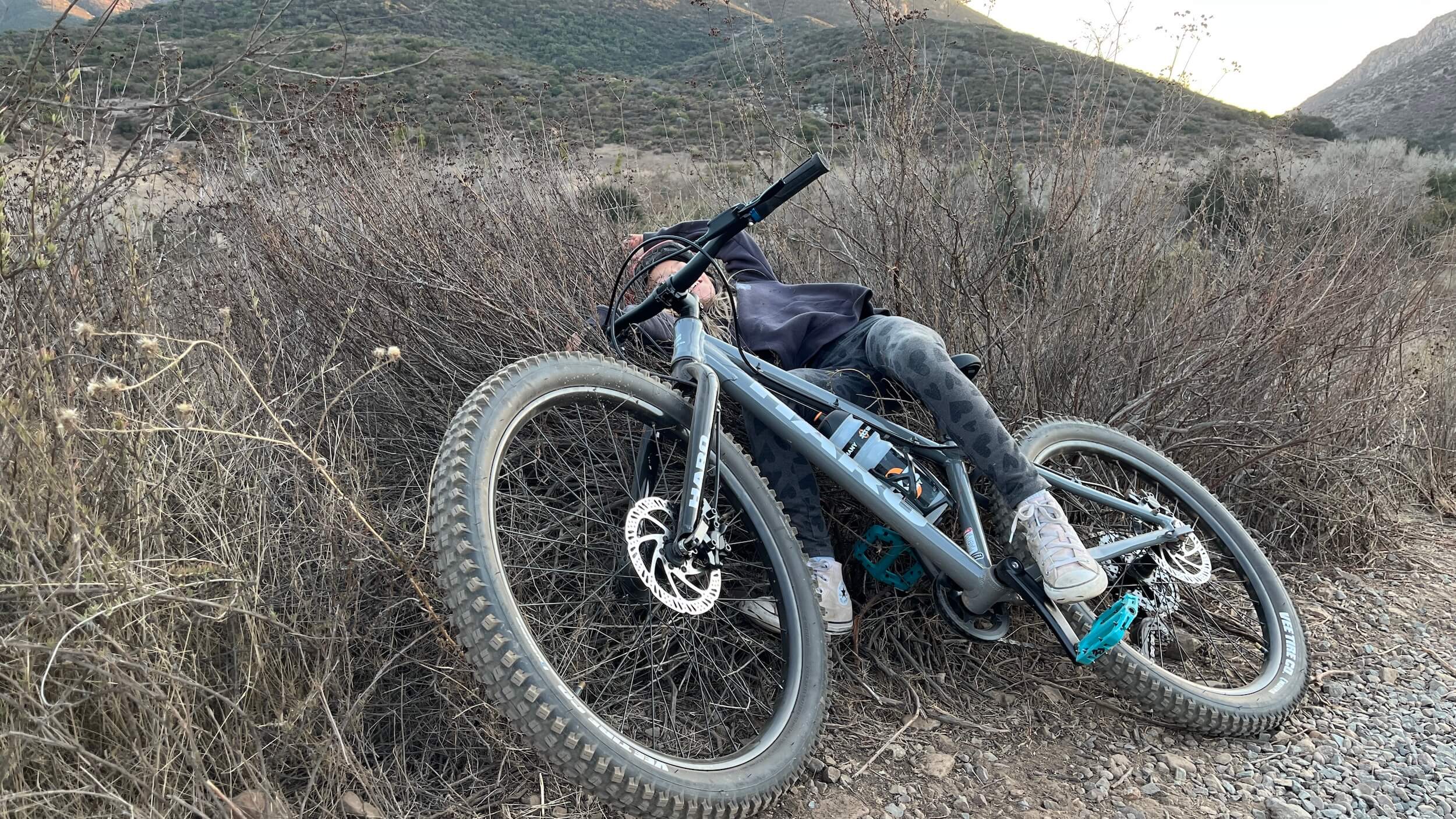 Getting eaten by shrubs