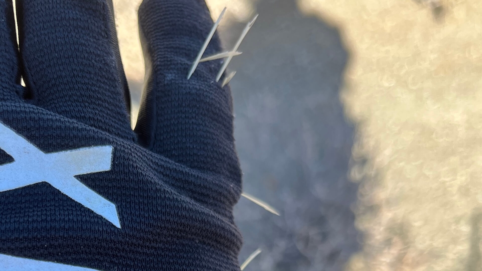 Cactus barbs stuck in hand