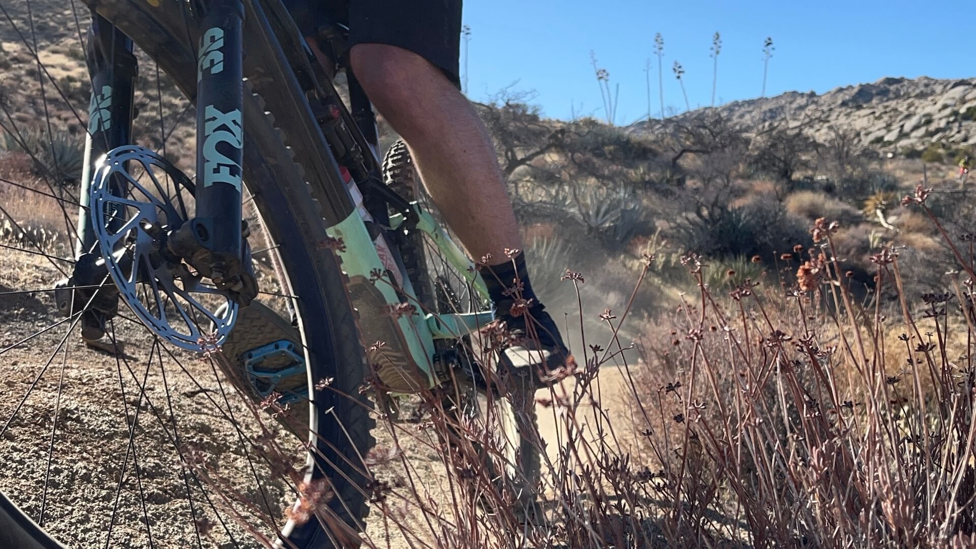 Level pedals. Heels down. Textbook.